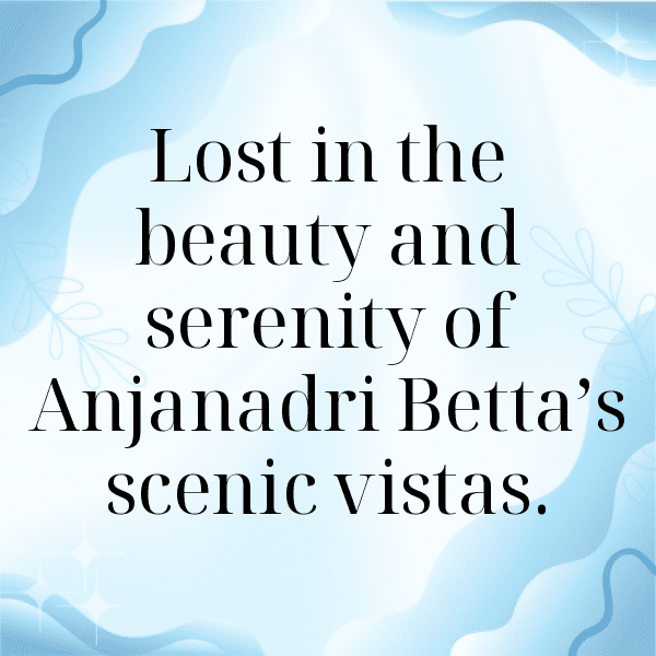 325+ Betta Captions For Instagram (Best, Funny & Short) 7 Betta Captions Image For Instagram-e26rB2