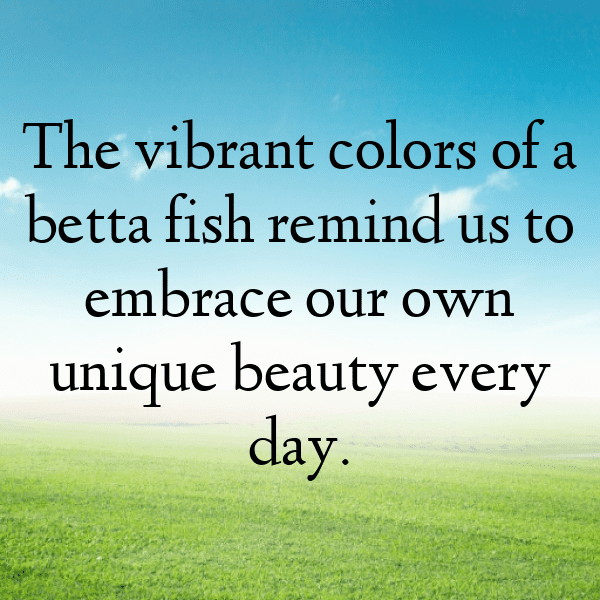 325+ Betta Captions For Instagram (Best, Funny & Short) 4 Betta Captions Image For Instagram-nrBq1u