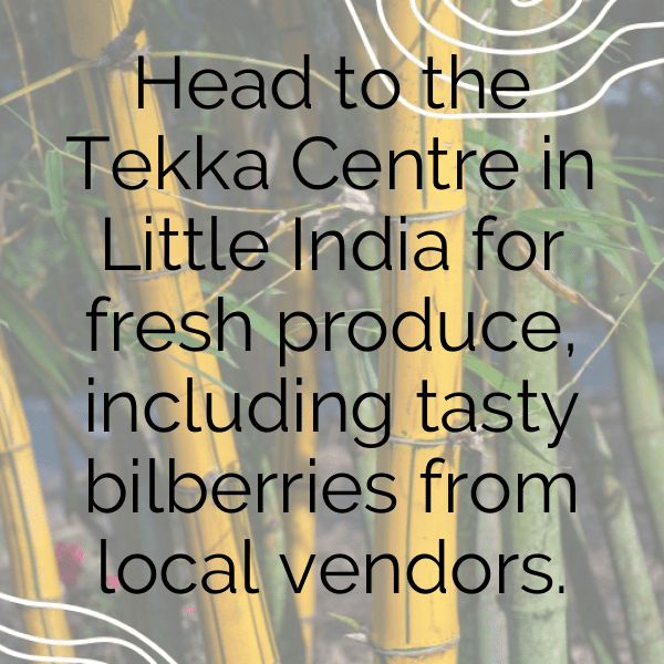 Bilberry Captions Image For Instagram-PFDLCp