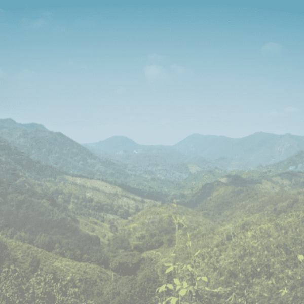 294+ Bindi Captions For Instagram (Trending, Funny & Top) 20 Bindi Captions Image For Instagram-AFWbef