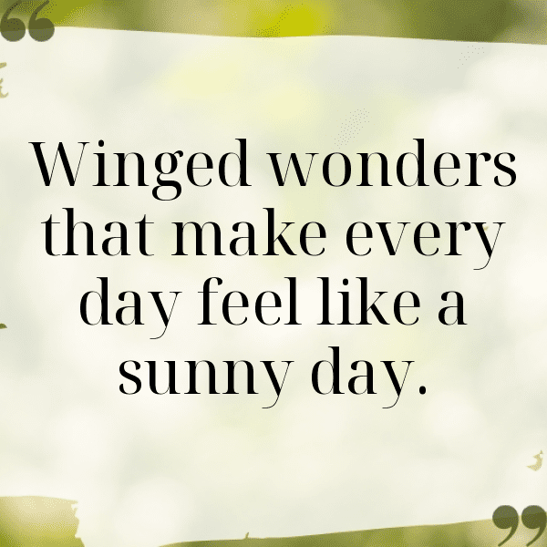 240+ Bird of Paradise Captions For Instagram (Trending, Funny & Top) 9 Bird of Paradise Captions Image For Instagram-cYpbrg