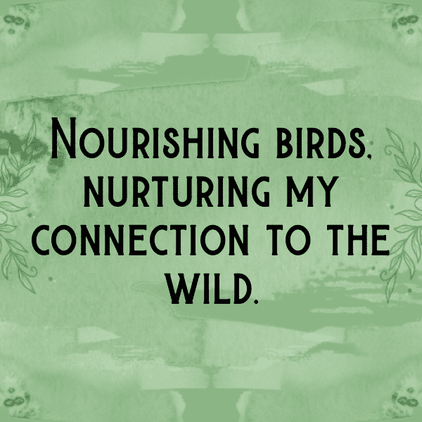 240+ Bird of Paradise Captions For Instagram (Trending, Funny & Top) 4 Bird of Paradise Captions Image For Instagram-W0Cmds