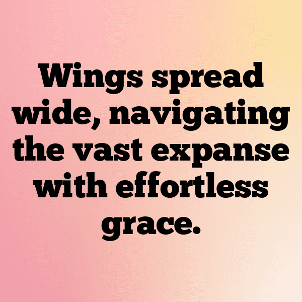 240+ Bird of Paradise Captions For Instagram (Trending, Funny & Top) 8 Bird of Paradise Captions Photo For Instagram-srXRFe