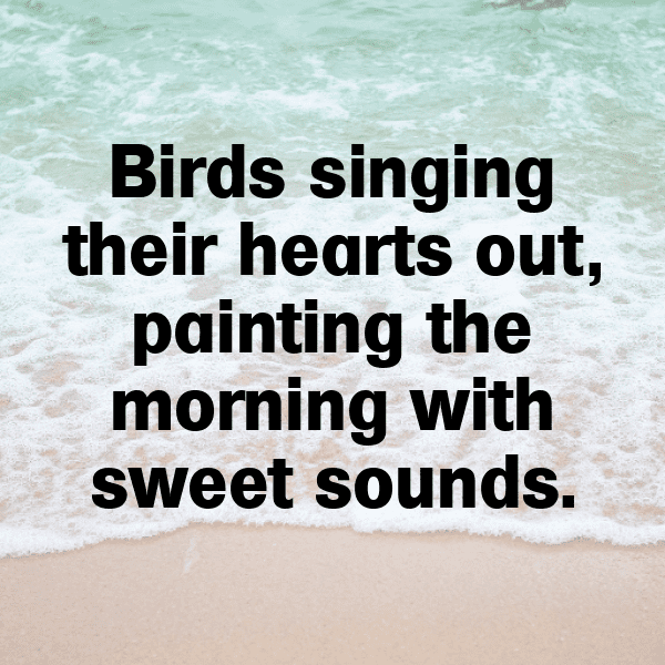 Birdwatching Captions Image for Instagram-Ibz7Dz