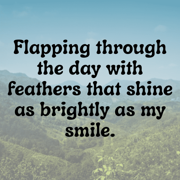 Birdwatching Captions Image for Instagram-JUJ63c