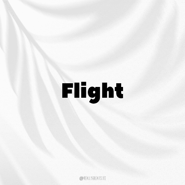 Birdwatching Captions Image for Instagram-lv1JRI