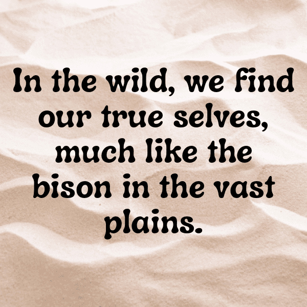 Bison Captions Image For Instagram-AmfODK