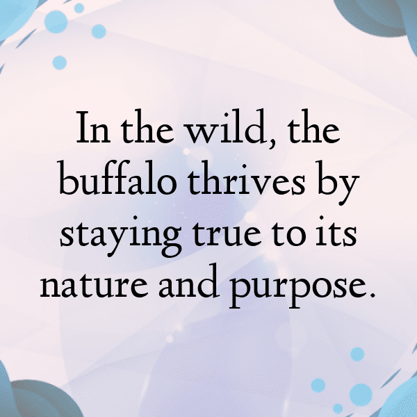 Bison Captions Image For Instagram-Q5UxQ2