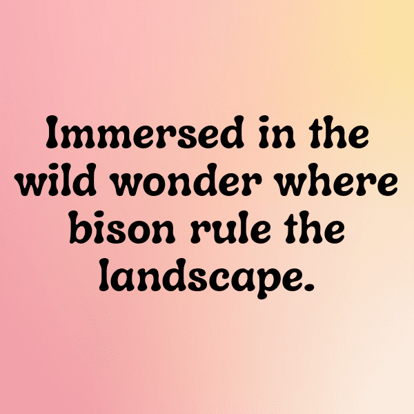 Bison Captions Photo For Instagram-B1PlUC