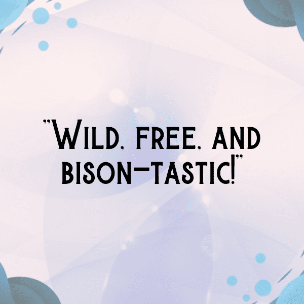 Bison Captions Photo For Instagram-kUnBx4