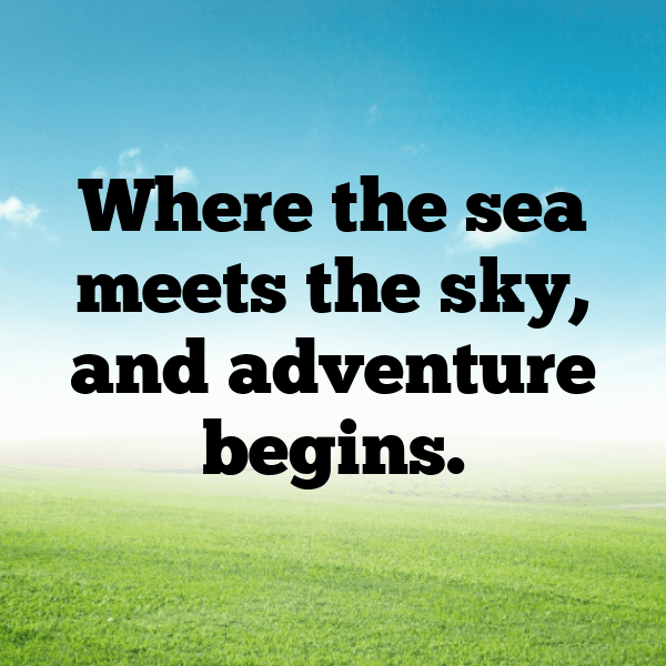 Bison Captions Photo For Instagram-L42BdE