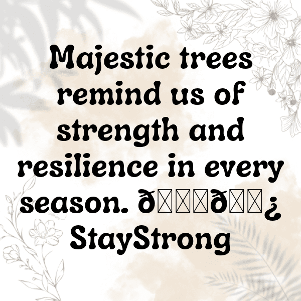 274+ Bitter Melon Captions For Instagram (Best, Funny & Short) 13 Bitter Melon Captions Image For Instagram-rutGiX