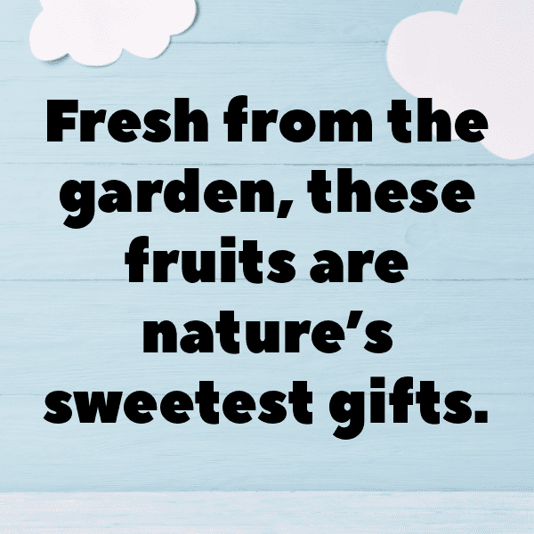 274+ Bitter Melon Captions For Instagram (Best, Funny & Short) 14 Bitter Melon Captions Photo For Instagram-3Lz01C