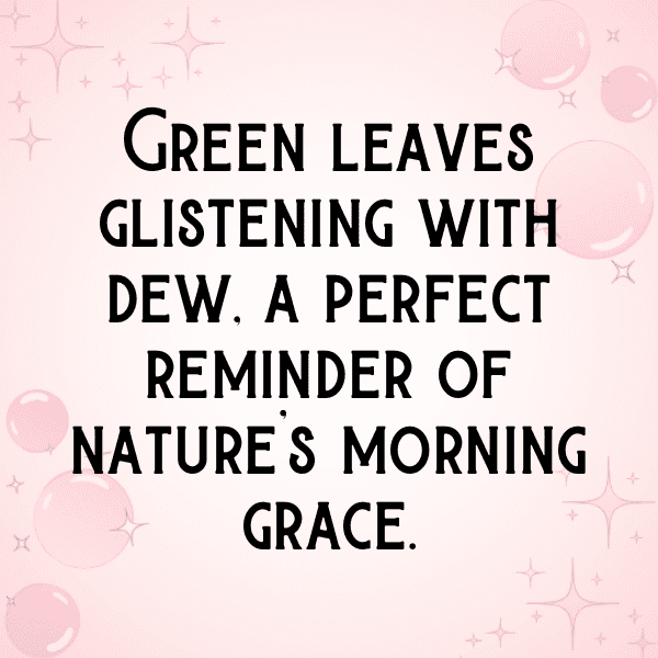 233+ Bitterleaf Captions For Instagram (Fresh & Trendy) 7 Bitterleaf Captions Image For Instagram-dLnfts