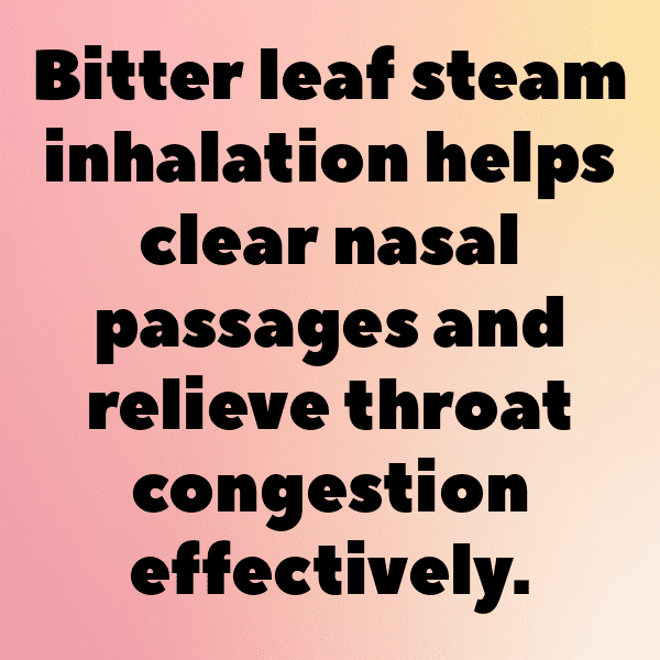 233+ Bitterleaf Captions For Instagram (Fresh & Trendy) 12 Bitterleaf Captions Image For Instagram-P4A0V9