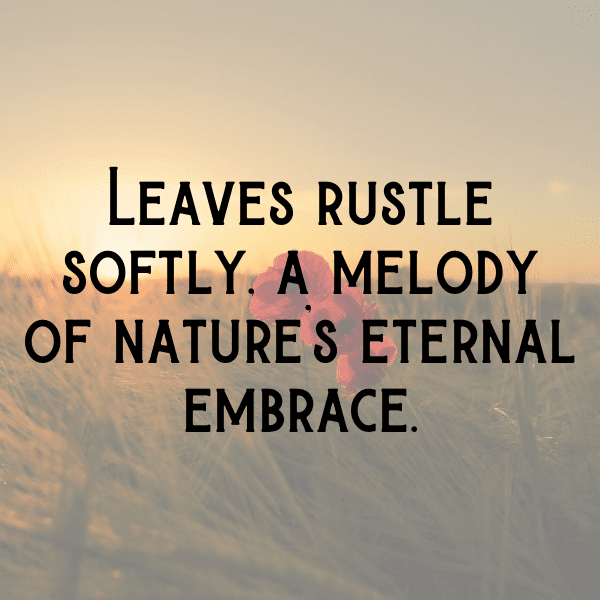 233+ Bitterleaf Captions For Instagram (Fresh & Trendy) 9 Bitterleaf Captions Image For Instagram-rP47SZ