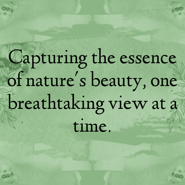 233+ Bitterleaf Captions For Instagram (Fresh & Trendy) 8 Bitterleaf Captions Photo For Instagram-hxX9Jn