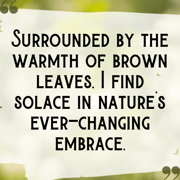 233+ Bitterleaf Captions For Instagram (Fresh & Trendy) 6 Bitterleaf Captions Photo For Instagram-Ve8kqq