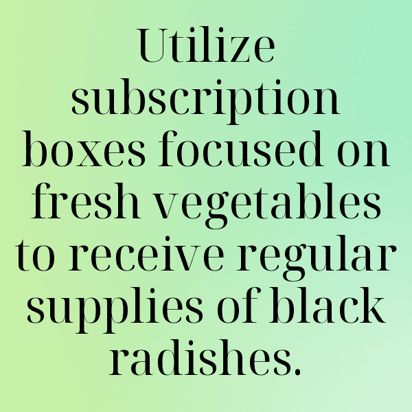 Black Radish Captions Photo For Instagram-te8b4Y