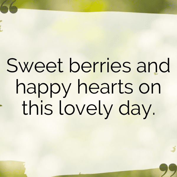 Blackberry Captions Image For Instagram-a4byPy