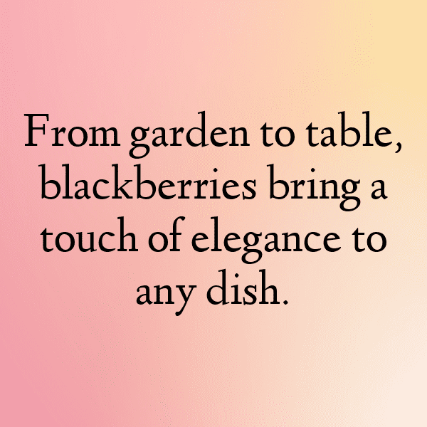 Blackberry Captions Image For Instagram-xJoVyU