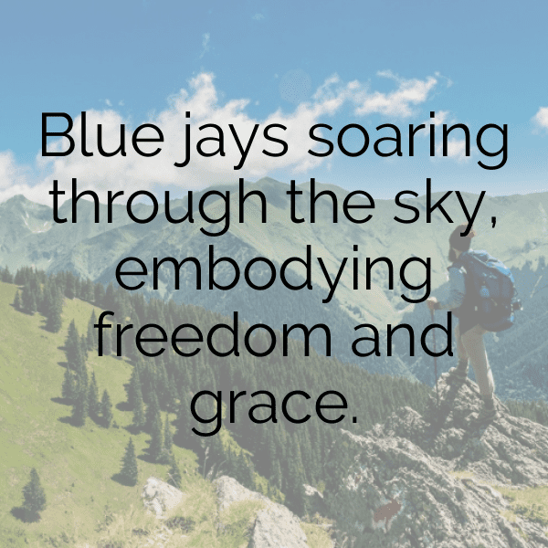 340+ Blue Jay Captions For Instagram (Best, Funny & Short) 13 Blue Jay Captions Image For Instagram-Z5baAp