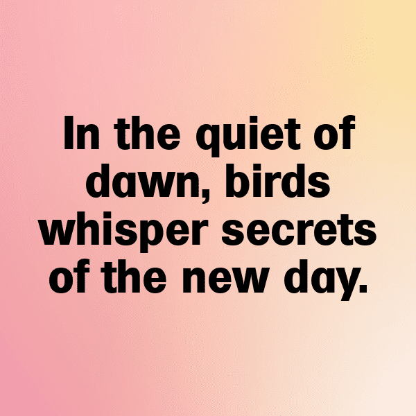 340+ Blue Jay Captions For Instagram (Best, Funny & Short) 8 Blue Jay Captions Image For Instagram-Zxn2PH