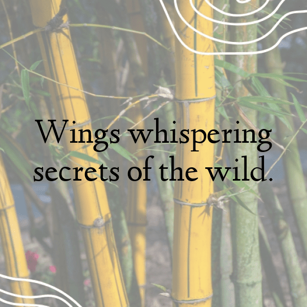 340+ Blue Jay Captions For Instagram (Best, Funny & Short) 4 Blue Jay Captions Photo For Instagram-28fOhA