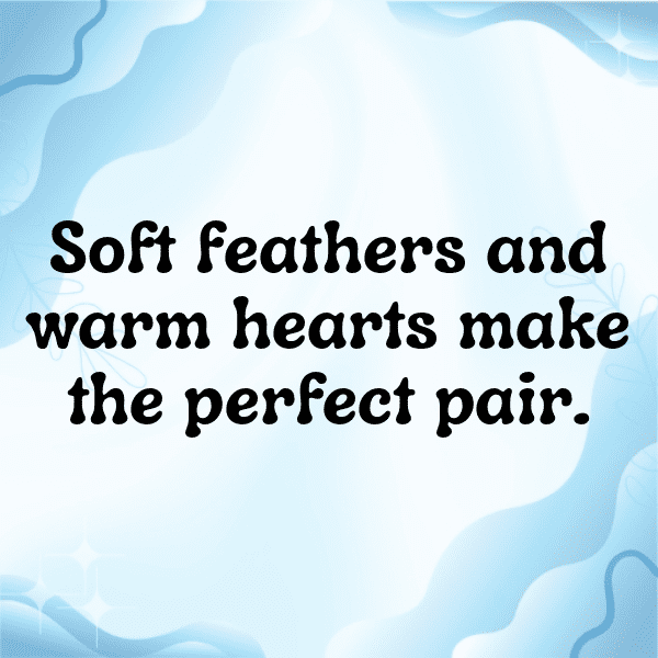 340+ Blue Jay Captions For Instagram (Best, Funny & Short) 17 Blue Jay Captions Photo For Instagram-A9Mnpp