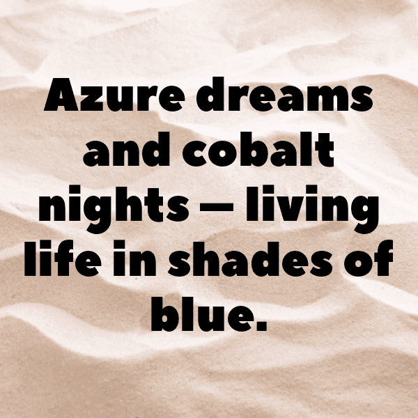 340+ Blue Jay Captions For Instagram (Best, Funny & Short) 16 Blue Jay Captions Photo For Instagram-crtO9x