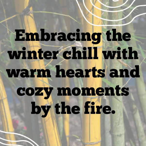 340+ Bluebell Captions For Instagram (Trending, Funny & Top) 9 Bluebell Captions Image For Instagram-EHSSZn