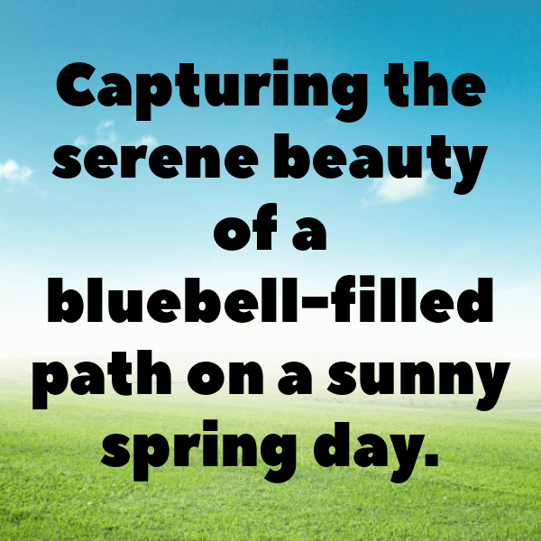 340+ Bluebell Captions For Instagram (Trending, Funny & Top) 17 Bluebell Captions Image For Instagram-fwUEXp