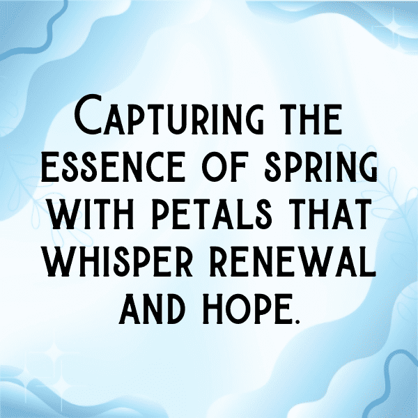 340+ Bluebell Captions For Instagram (Trending, Funny & Top) 13 Bluebell Captions Image For Instagram-h2uSTl