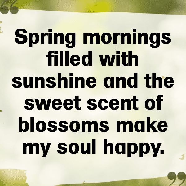 340+ Bluebell Captions For Instagram (Trending, Funny & Top) 14 Bluebell Captions Image For Instagram-w2jxVK