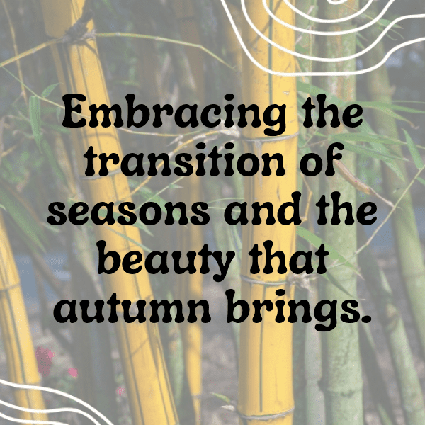 340+ Bluebell Captions For Instagram (Trending, Funny & Top) 8 Bluebell Captions Photo For Instagram-czHGng