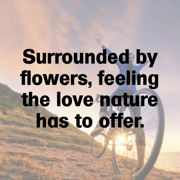 340+ Bluebell Captions For Instagram (Trending, Funny & Top) 19 Bluebell Captions Photo For Instagram-QhZR6W