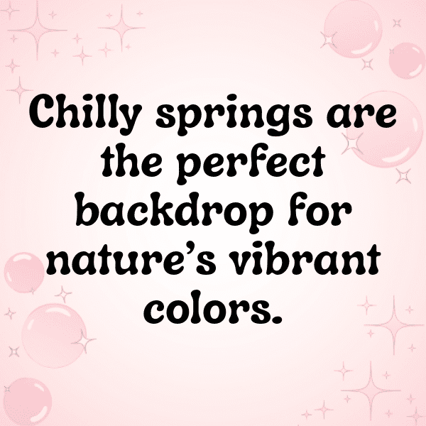 340+ Bluebell Captions For Instagram (Trending, Funny & Top) 4 Bluebell Captions Photo For Instagram-s3p898