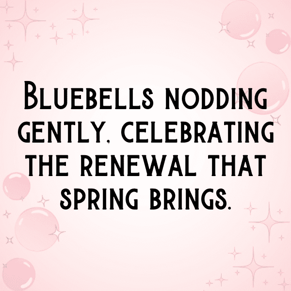 340+ Bluebell Captions For Instagram (Trending, Funny & Top) 18 Bluebell Captions Photo For Instagram-U8oL6n