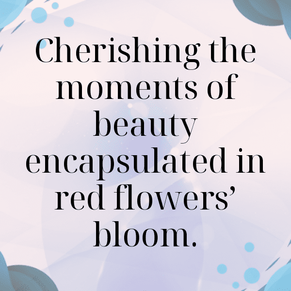 340+ Bluebell Captions For Instagram (Trending, Funny & Top) 20 Bluebell Captions Photo For Instagram-wLgU0V