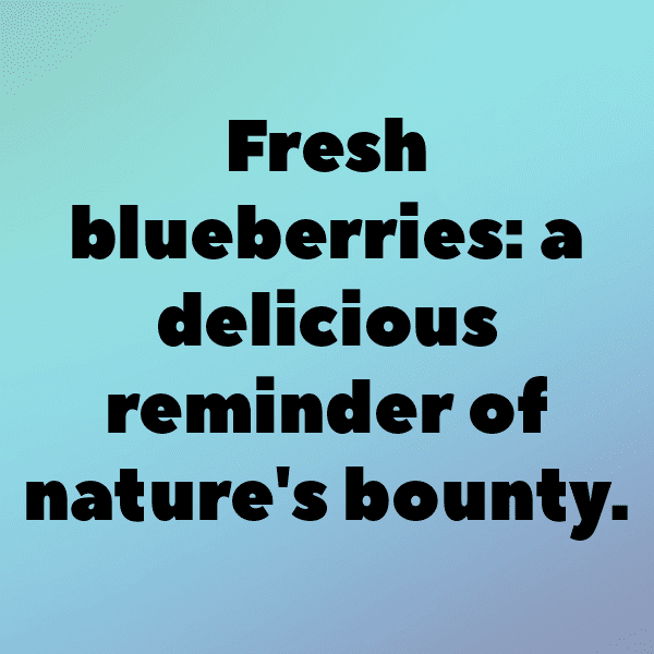 Blueberry Captions Image For Instagram-gzq6dV