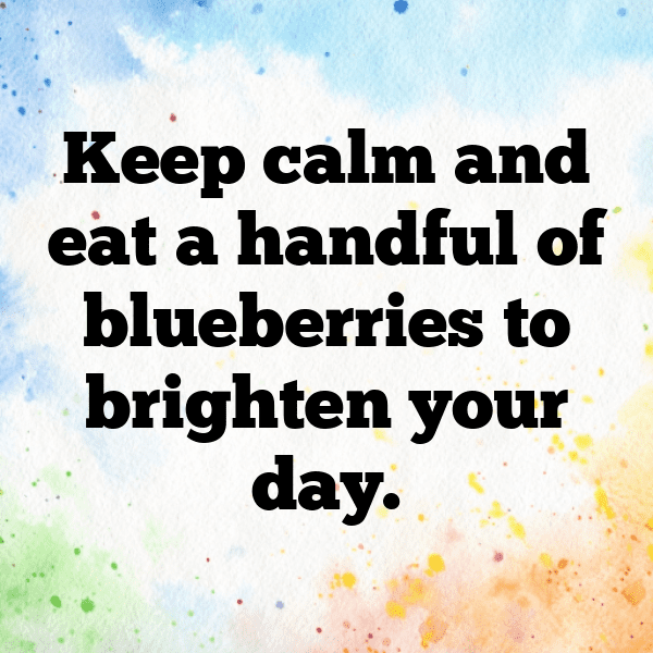 Blueberry Captions Photo For Instagram-0mrPUz