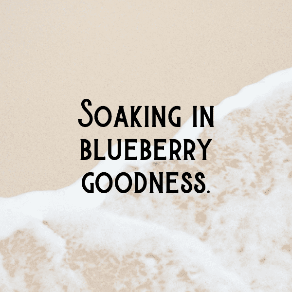 Blueberry Captions Photo For Instagram-BiCYoN