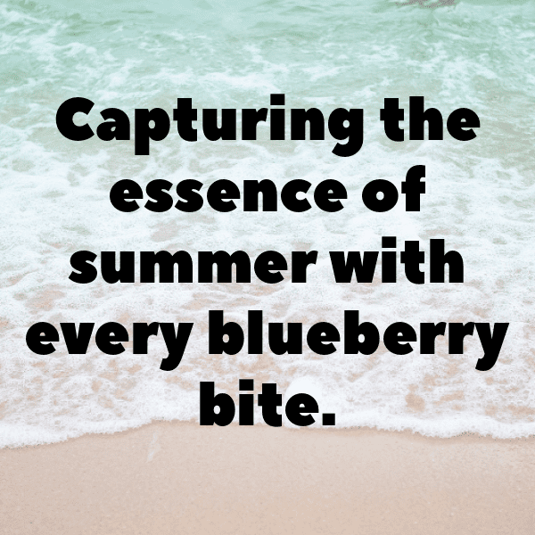 Blueberry Captions Photo For Instagram-rOnC75