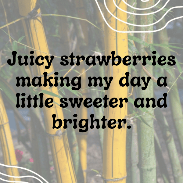 Blueberry Captions Photo For Instagram-ye0k5b