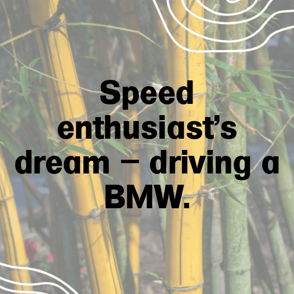 270+ BMW 3 Series Captions for Instagram (Short, Trending & Viral) 12 BMW 3 Series Captions Image for Instagram-0UOr4x