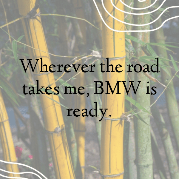 270+ BMW 3 Series Captions for Instagram (Short, Trending & Viral) 6 BMW 3 Series Captions Photo for Instagram-5zw4Ee