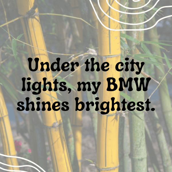 270+ BMW 3 Series Captions for Instagram (Short, Trending & Viral) 10 BMW 3 Series Captions Photo for Instagram-P0V9HI