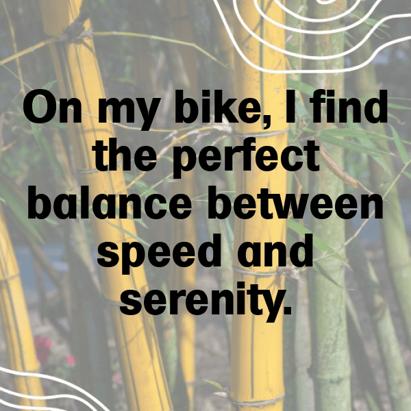 234+ BMX Freestyle Captions for Instagram In 2025 9 BMX Freestyle Captions Image for Instagram-zVv684