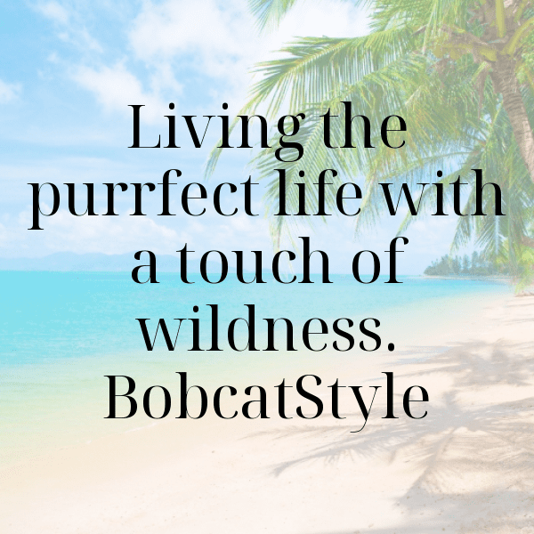 267+ Bobcat Captions For Instagram (Best, Funny & Short) 3 Bobcat Captions Photo For Instagram-bhix2g