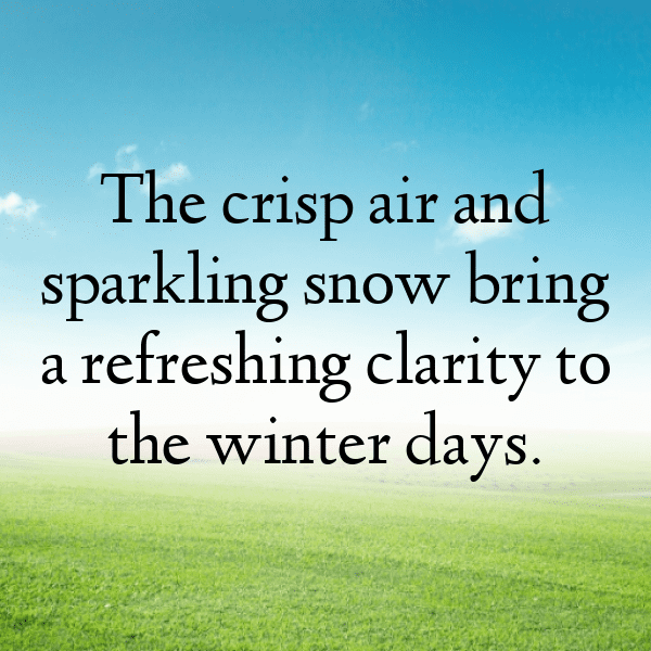 348+ Bobsleigh Captions for Instagram In 2025 9 Bobsleigh Captions Photo for Instagram-Vj8VuS